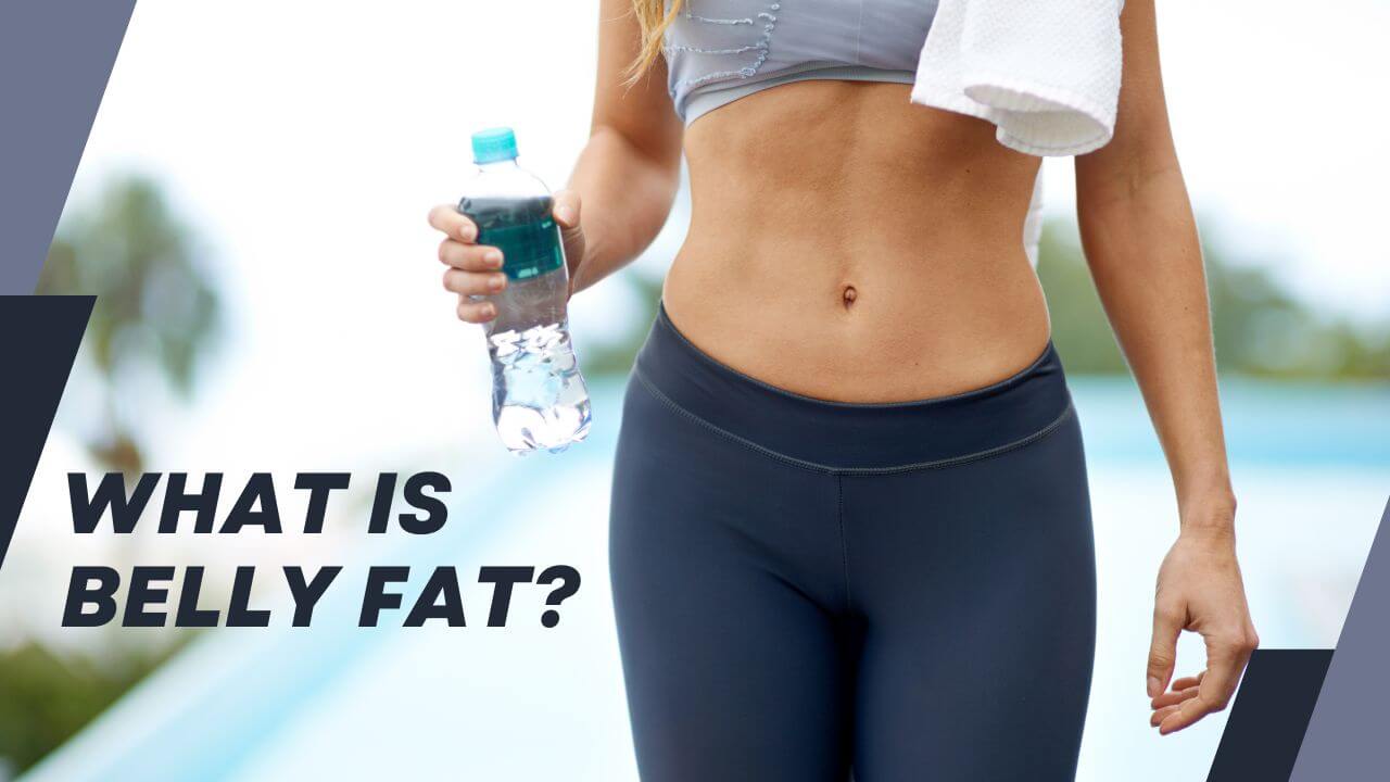 What is belly fat