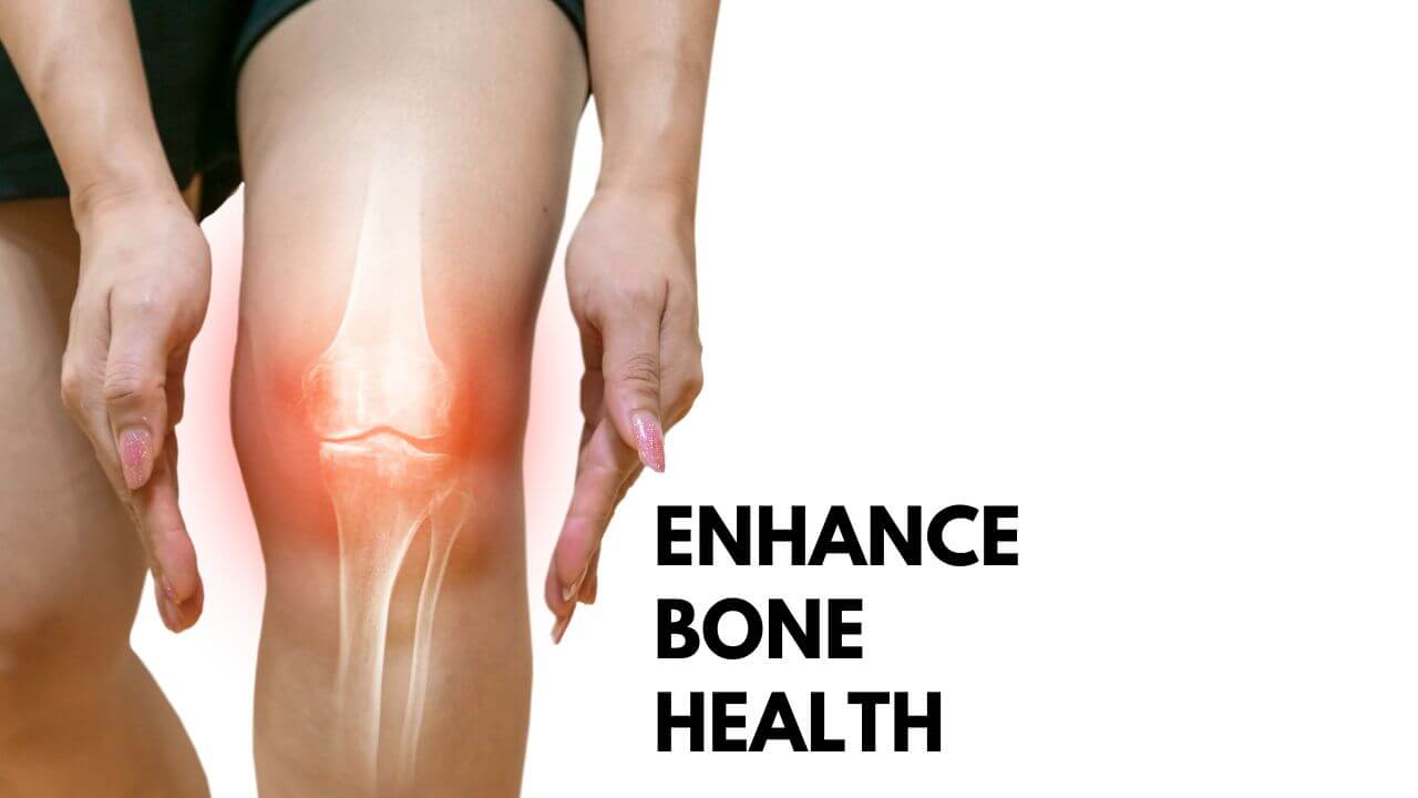 Enhance Bone Health with Strength Training